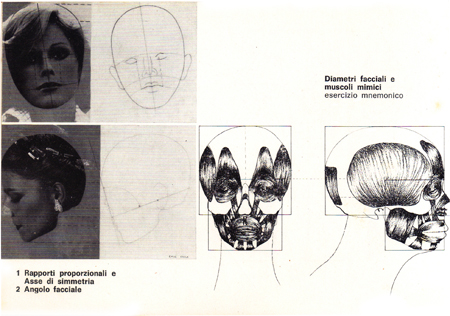 Antropometria